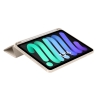 TECH-PROTECT SC PEN IPAD MINI 8.3” 6 / 7 / 2021-2024 STARLIGHT