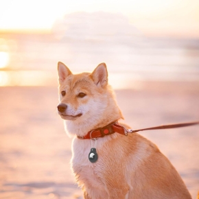 TECH-PROTECT ROUGH VEIN 2-PACK APPLE AIRTAG 1  2 BLACK