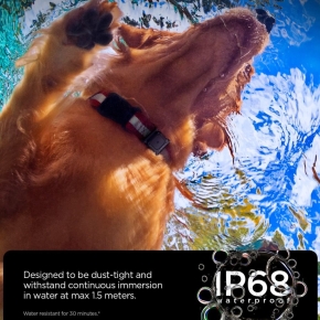 SPIGEN TOUGH ARMOR APPLE AIRTAG 1  2 FOR PET COLLAR BLACK