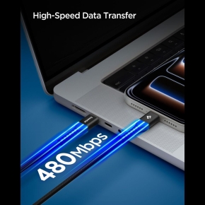 SPIGEN EB10010CCA ESSENTIAL TYPE-C CABLE 100W 100CM BLACK